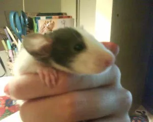 ještě mimčo