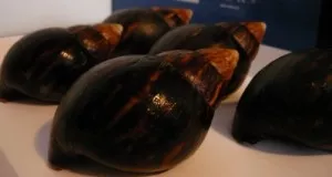 19.12.2009