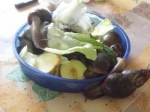 krmeni