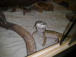hmmm