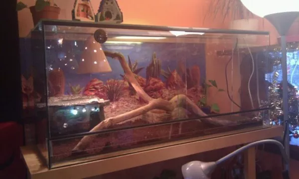 Hlavní fotka