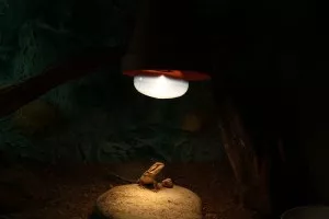 Terarium