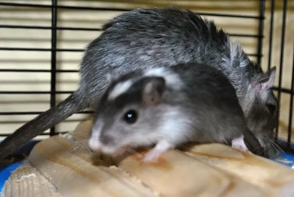 Hlavní fotka