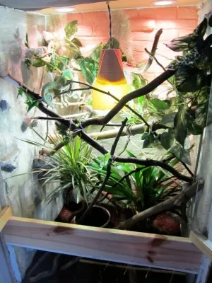 terarium :)