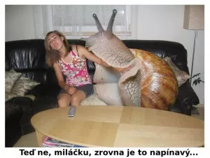 Moje a.a. Minor trochu vyrostla...