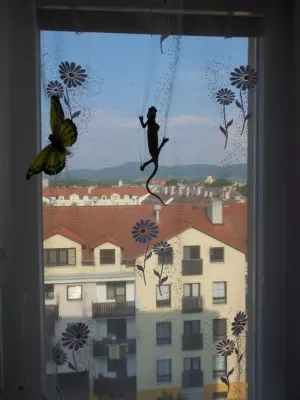 výhled z okna