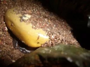 jak se pod ten kámen můžou oba vejít