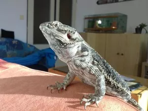 nyní