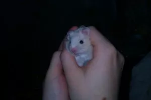 Takhle jsme si ho donesli :)