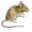 Hlodavci