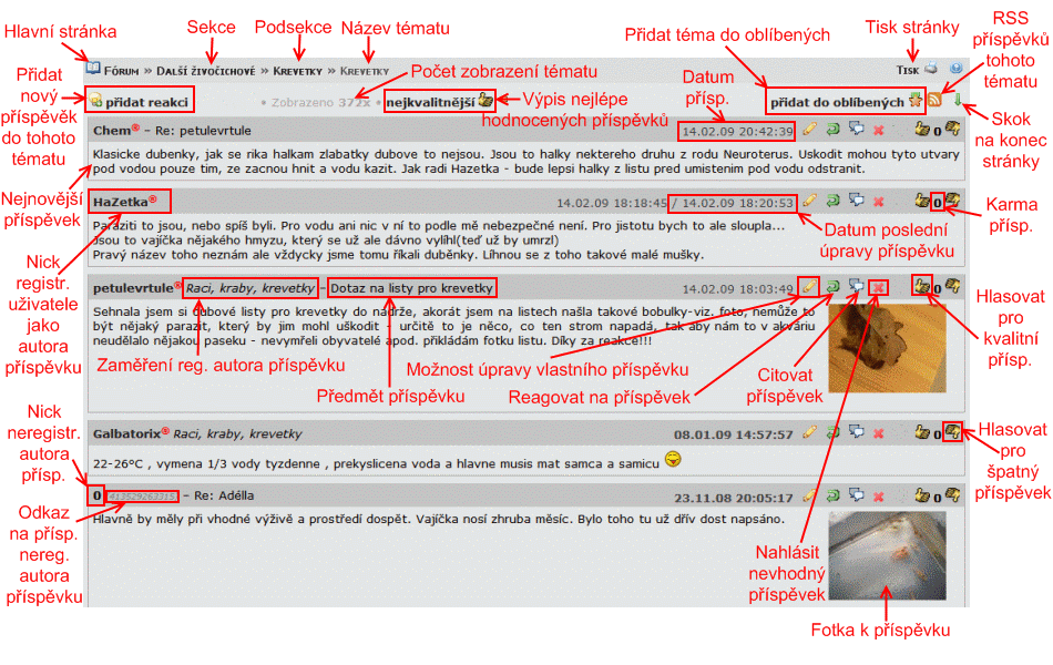 Schéma diskuzního fóra